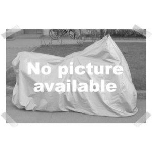 Motor Yamaha FZR 600 1991