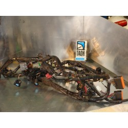 Cableado Kawasaki ZX636 R 2005