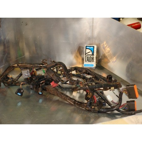 Cableado Kawasaki ZX636 R 2005