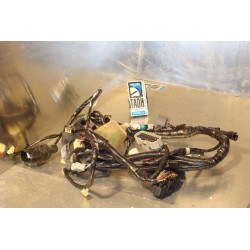 Cableado Honda CBR 600 F 2001