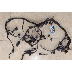 Cableado Kawasaki ZX6 R 2009