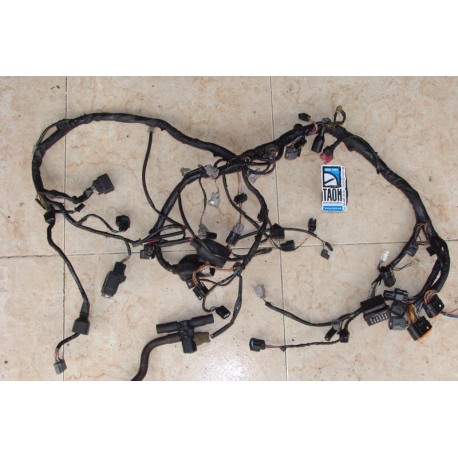 Cableado Kawasaki ZX6 R 2009