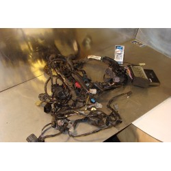 Cableado Kawasaki Z 750 2007