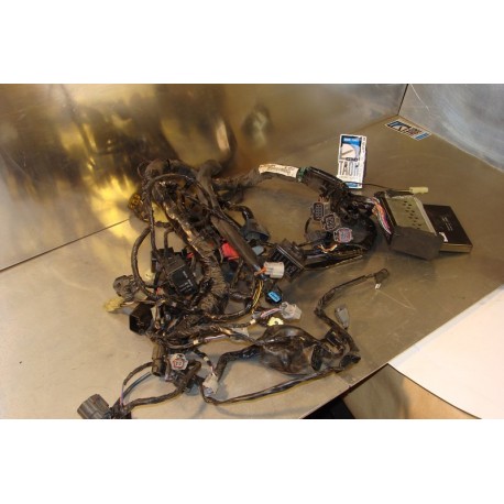 Cableado Kawasaki Z 750 2007
