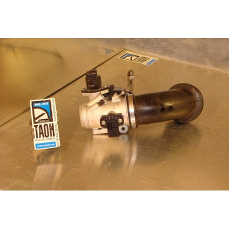 Inyeccion izquierda BMW R 1200 GS 2006