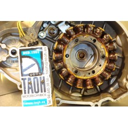 Estator BMW F 650 GS 2005