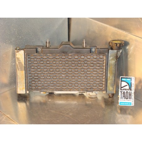 Radiador Kymco Venox 250