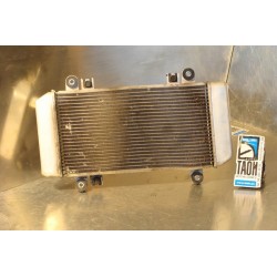 Radiador Kawasaki Ninja 250 R
