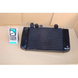 Radiador izquierdo Honda XL 650 Transalp 2006