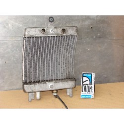 Radiador Suzuki Burgman 125 2011