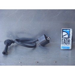 Bobina Suzuki DL1000 V-Strom 2005