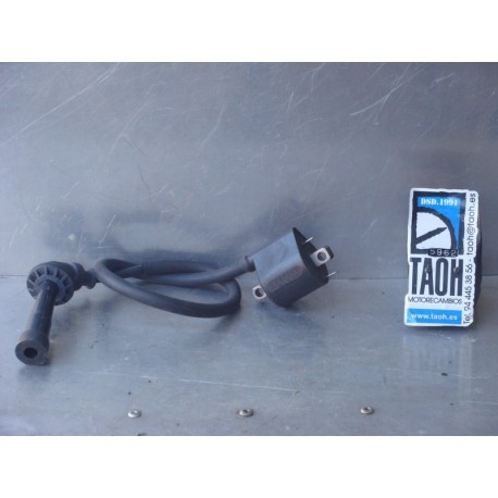 Bobina Suzuki DL1000 V-Strom 2005