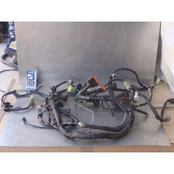 Cableado Suzuki DL1000 V-Strom 2005