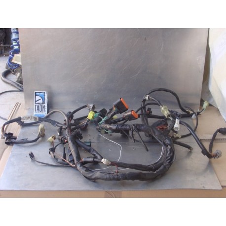 Cableado Suzuki DL1000 V-Strom 2005