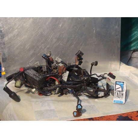 Cableado Honda CBR 600 RR 2008
