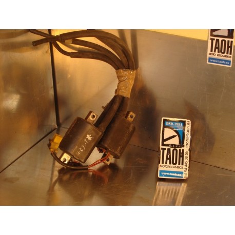 Bobina Yamaha XJ 600