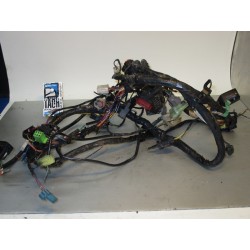 Cableado Kawasaki Ninja 250 R 