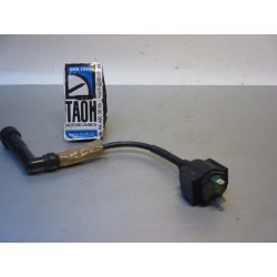 Bobina Honda CB 250 Two Fifty