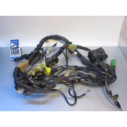 Cableado Suzuki Volusia 800 2004