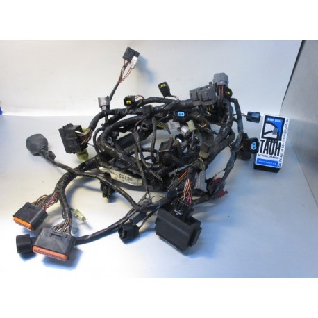 Cableado Kawasaki ZX636 R 2005