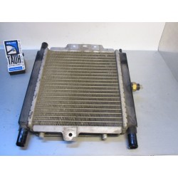 Radiador Peugeot Satelis 125