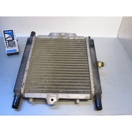 Radiador Peugeot Satelis 125