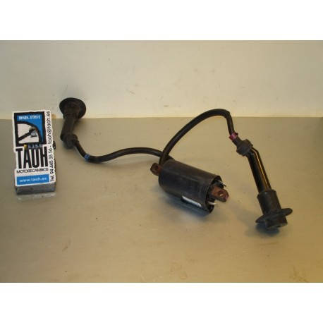 Bobina Yamaha YZF 600 R Thundercat