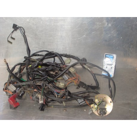 Cableado Suzuki GS 500 F 2004