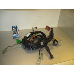Cableado Yamaha YZF-R1 2002-2003 5PW-82590-00