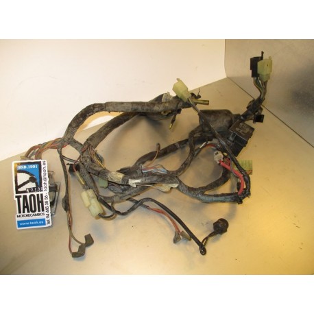 Cableado Yamaha XJ Diversion 600 1992