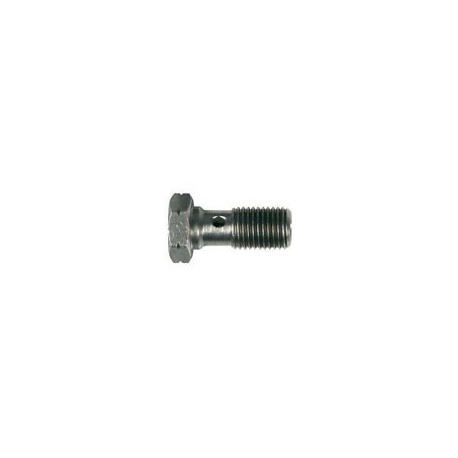 Tornillo banjo simple 10x100 acero cincado