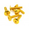 Kit 6 tornillos allen c/alomada M6x30. ORO