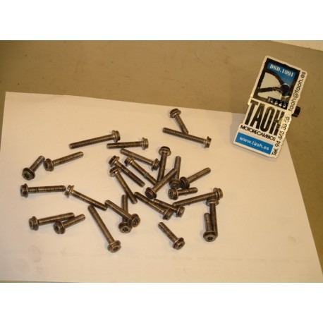 Tornilleria titanio tapas motor BMW S 1000 RR HP4 2014