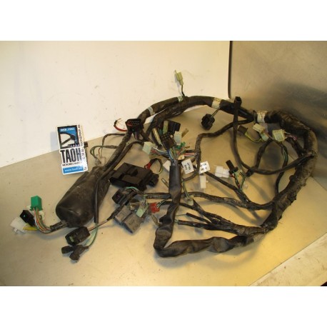 Cableado Kymco Venox 250 2008