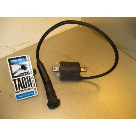 Bobina Kymco Venox 250