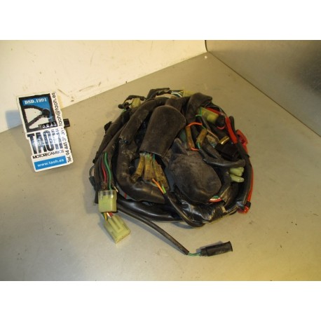 Cableado Honda NSR 50