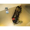 Cableado Honda CB 250 Two Fifty