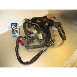 Cableado Yamaha XJ Diversion 600 1998