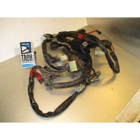 Cableado Yamaha XJ Diversion 600 1998