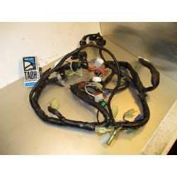 Cableado Yamaha YZF-R6 2001 5EB-82530-20