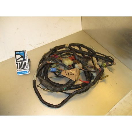 Cableado Yamaha FJ 1200