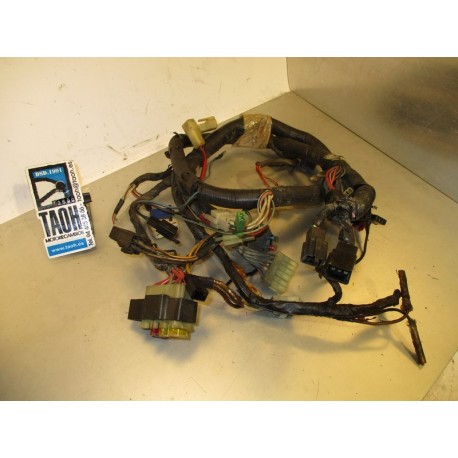 Cableado Yamaha FZR 600 1990