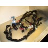 Cableado Yamaha YZF-R1 2005