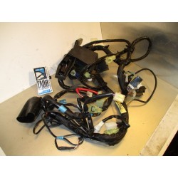 Cableado Yamaha FZ6 2008 (ABS)