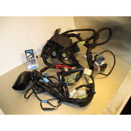 Cableado Yamaha FZ6 2008 (ABS)