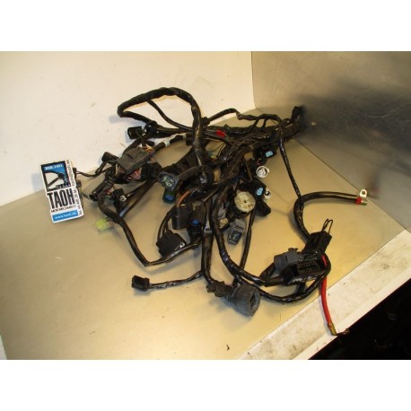 Cableado Triumph Street Triple 675 2011