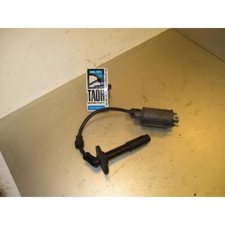 Bobina Kawasaki ZZR 250