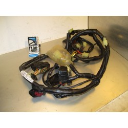 Cableado Honda Hornet CB600F 2005