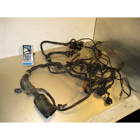 Cableado Kawasaki ZX6 R 1999