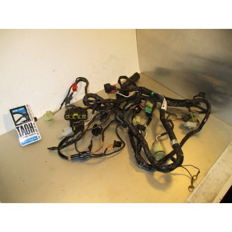Cableado Kawasaki ZX6 R 2000